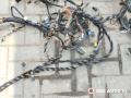 проводка BMW X5 E53 [рестайлинг] 2005, 3.0 л., дизель, АКПП, внедорожник 5 дв., 77369610, 8380087 - фото №5