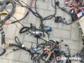 проводка BMW X5 E53 [рестайлинг] 2005, 3.0 л., дизель, АКПП, внедорожник 5 дв., 77369610, 8380087 - фото №8