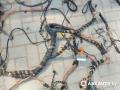проводка BMW X5 E53 [рестайлинг] 2005, 3.0 л., дизель, АКПП, внедорожник 5 дв., 77369610, 8380087 - фото №17