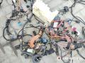 проводка BMW X5 E53 [рестайлинг] 2005, 3.0 л., дизель, АКПП, внедорожник 5 дв., 77369610, 8380087 - фото №22