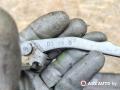 ограничитель открывания двери Peugeot 406 1 поколение [рестайлинг] 2003, 2.0 л., дизель, АКПП, универсал - фото №4