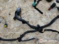 проводка двигателя Peugeot 308 T7 2007, 9664559980, 9664560480, 9664560780, 9664561480, 9664561680, 9664562380, 9664562780, 9664562880, 9664563380, 9664563780, 650381803 - фото №3