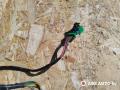 проводка Citroen Berlingo 1 поколение (M59) [рестайлинг] 2006, 1.6 л., дизель, фургон, 4515201, 031024S, BCR1124 - фото №2