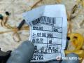 проводка IVECO Daily 4 поколение 2008, 2.3 л., дизель, МКПП, фургон, 69501801 - фото №4