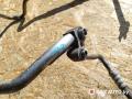 трубка кондиционера Opel Astra H 2006, 1.6 л., дизель - фото №4