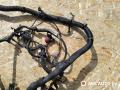 проводка двигателя Nissan Primera P12 2004, 2.2 л., дизель, МКПП, универсал, 24012AV010, 24382AV715, 71547003TA - фото №3