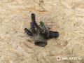 корпус термостата Opel Astra H 2006, 1.6 л., дизель, 55203388, 55187784, 71754778, 55202510, 71574778, 71754776, 93179136, 1338039, 1338154, 1338275, 1338429, 95517661, 1769079J50, 1769079J51, TVZ1177NF, TVZ1177UA, TI14388 - фото №3