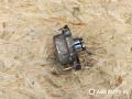 насос вакуумный Opel Astra H 2006, 1.6 л., дизель, 55205446, 729023030, A598, 55269150, 55269802, 55221325, 73500096, 46343257, 55188660, 545456, 545439, 545218, 545430, 93190766, 55581351, 55488984, 545371, 93179221 - фото №2