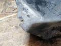 защита арок задняя правая (подкрылок) Nissan Primera P12 2004, 2.2 л., дизель, МКПП, универсал - фото №3