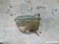 бачок расширительный Volkswagen Passat B2 1988, 171121407E - фото №4