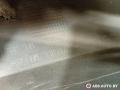 молдинг (накладка кузовная) Renault Trafic 2 поколение 2006, 8200229880, 8200229882, 3850668, 93850669 - фото №7