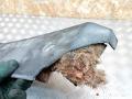 декоративная крышка двигателя Renault Mascott 1 поколение 2004, 2.8 л., МКПП, микроавтобус, 500328330 - фото №2