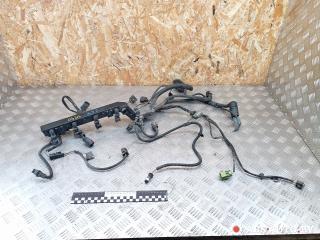 проводка двигателя Mini Cooper 1 поколение 2003, 1.6 л., W10 B16 A, бензин, МКПП, 7510921, 7520934, 7510301
