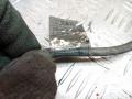 проводка двигателя Mini Cooper 1 поколение 2003, 1.6 л., W10 B16 A, бензин, МКПП, 7510921, 7520934, 7510301 - фото №6