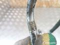 трубка кондиционера Mini Cooper 1 поколение 2003, 1.6 л., W10 B16 A, бензин, МКПП, 64531504537 - фото №8