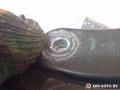 щеткодержатель (поводок стеклоочистителя, дворник) Renault Scenic 2 поколение 2005, 1.9 л., дизель, МКПП, минивэн, 8200113230 - фото №5