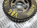 звездочка ТНВД Volkswagen Golf 4 поколение 2000, 1.9 л., дизель, 038130111B - фото №4