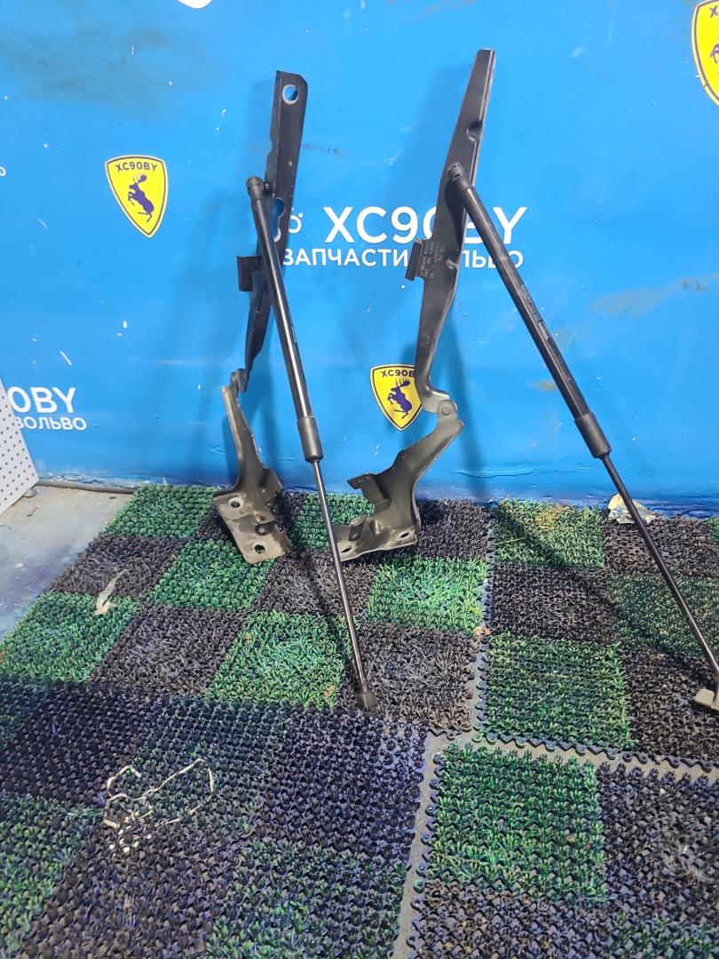 петля капота правая Volvo XC60 2 поколение 2020, 2.0 л., D4204T14, дизель, чёрный 717-46, внедорожник 5 дв., полный привод, правый руль, 31424538 - фото №1