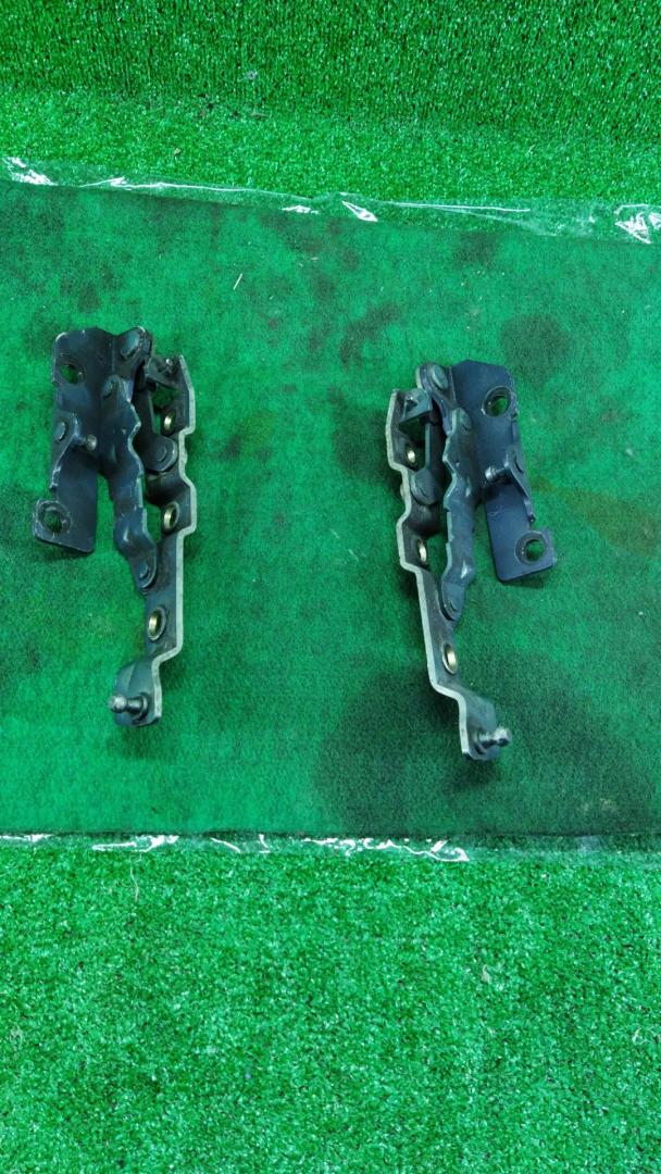 петля крышки багажника Nissan Maxima A34 2005 - фото №1