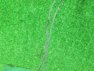 замок двери задней левой Pontiac Vibe 1 поколение [рестайлинг] 2005, 1.8 л., 1ZZ-FE, бензин, АКПП, красный, передний привод