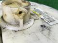 насос топливный Mazda 3 BK 2004, L0101069AG - фото №3