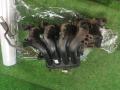коллектор впускной Mazda 2 DE 2008, 1.3 л., i, бензин, 098800-0251 - фото №2