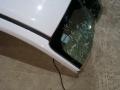 крыша Ford Escape 3 поколение C520 2015, 1.5 л., бензин, АКПП, белый, внедорожник 5 дв., правый руль - фото №8