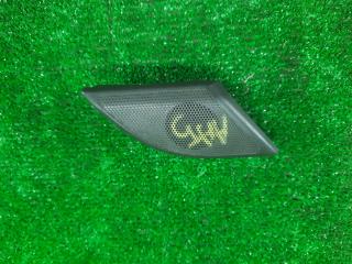 динамик высокочастотный (пищалка) Opel Antara 1 поколение [рестайлинг] 2012, 2.2 л., дизель, АКПП, серый, внедорожник 5 дв., правый руль