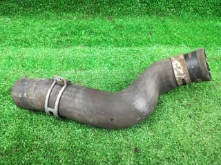 патрубок радиатора Toyota Avensis 3 поколение (T270) [рестайлинг] ADT270 2012, 2.0 л., D-4D, 1AD-FTV, дизель, МКПП, темно-синий, универсал, передний привод, правый руль