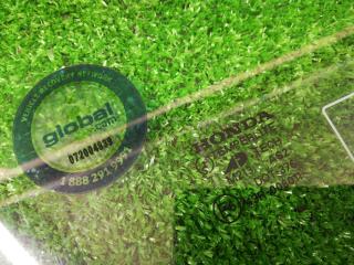 стекло двери передней правой Honda Element 1 поколение 2006, 2.4 л., i-VTEC, K24A4, бензин, АКПП, оранжевый, хетчбэк 5 дв., полный привод