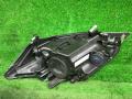 фара правая Ford Kuga 1 поколение 2012, 2.5 л., HYDC, бензин, АКПП, внедорожник 5 дв., полный привод, правый руль, 1LJ00969604 - фото №7