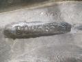 брызговик Mazda 323F BA 1997, B01A51851 - фото №5