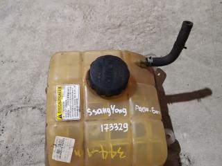 бачок расширительный SsangYong Rodius 1 поколение 2007, 2.7 л., D27DT, дизель, АКПП, серебристый, правый руль