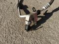 трубка кондиционера BMW 3 серия F30/F31/F34 F30 2013, 2.0 л., N20 B20 A, бензин, АКПП, черный, седан, полный привод - фото №2