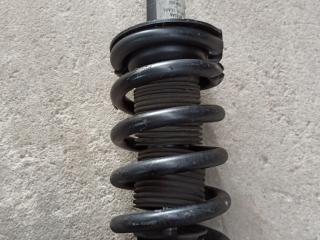 амортизатор передний правый Infiniti QX80 1 поколение Z62 2014, 5.6 л., VK56DE, бензин, АКПП, белый, внедорожник 5 дв., задний привод