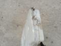 бачок омывателя BMW 3 серия F30/F31/F34 F30 2013, 2.0 л., N20 B20 A, бензин, АКПП, черный, седан, полный привод - фото №4
