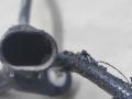 датчик ABS BMW 5 серия F07/F10/F11 [рестайлинг] F10 2013, 2.0 л., бензин, АКПП, белый, седан, полный привод, 3452678490201 - фото №3