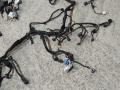 проводка двигателя Ford Escape 3 поколение C520 2014, 1.6 л., бензин, АКПП, красный, передний привод - фото №4