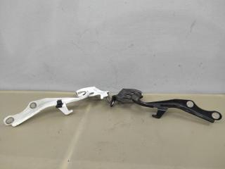 петля капота Toyota Sienna 3 поколение 2014, 3.5 л., 2GR-FE, бензин, АКПП, черный, передний привод