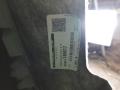 потолок Ford Escape 4 поколение CX482 2021, 2.5 л., гибрид, АКПП, внедорожник 5 дв., полный привод - фото №3