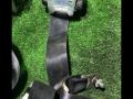 ремень безопасности Mazda 3 BK 2004, 2.0 л., LF-DE, бензин, МКПП, красный, седан, передний привод, правый руль - фото №2