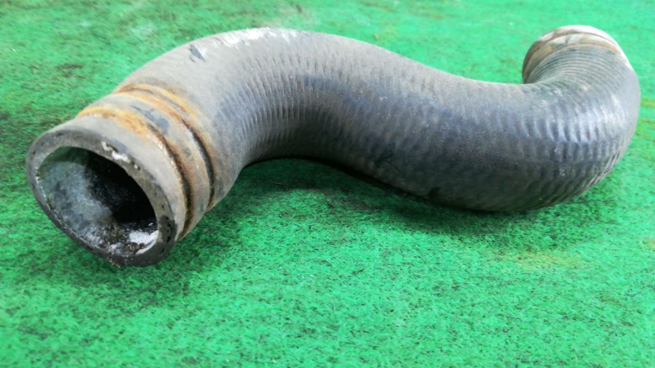 патрубок радиатора Nissan Micra 2 поколение (K11) 1995, 1.0 л., бензин, вариатор, хетчбэк 3 дв., передний привод - фото №1