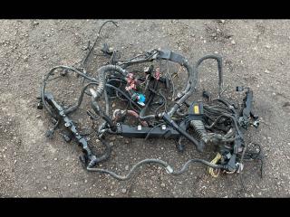 проводка двигателя BMW 5 серия F07/F10/F11 2010, 4.4 л., N63 B44 A, бензин, АКПП, хетчбэк 5 дв.