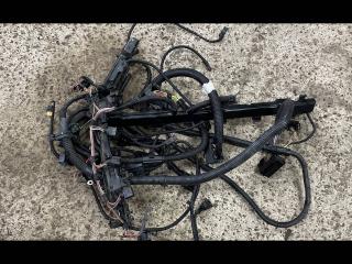 проводка двигателя BMW 5 серия F07/F10/F11 F10 2011, 3.0 л., N52 B30, бензин, АКПП, седан