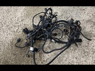 проводка двигателя BMW 7 серия F01/F02 [рестайлинг] F02 2014, 3.0 л., N55 B30 A, бензин, АКПП, седан, полный привод, 7631759