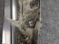 водосток крышки багажника BMW 7 серия F01/F02 [рестайлинг] F02 2014, 3.0 л., N55 B30 A, бензин, АКПП, седан, полный привод, 7206389 - фото №4