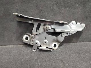 петля капота правая BMW 3 серия F30/F31/F34 2014, 3.5 л., N57 D30 B, дизель, АКПП, седан, 7336700