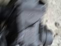 амортизатор передний правый BMW 7 серия F01/F02 [рестайлинг] F02 2014, 4.4 л., N63 B44 B, бензин, АКПП, седан, задний привод, 6863148 - фото №3