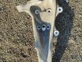 кулак поворотный левый BMW 7 серия F01/F02 2011, 3.0 л., D, N57 D30 A, дизель, АКПП, седан, задний привод, правый руль - фото №3