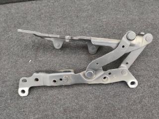 петля капота левая BMW 5 серия F07/F10/F11 F10 2011, 3.5 л., бензин, АКПП, седан